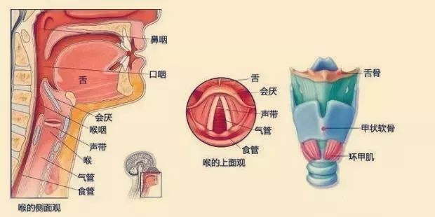 护士长亲述死亡经历嗓子痛别大意真的可能要人命