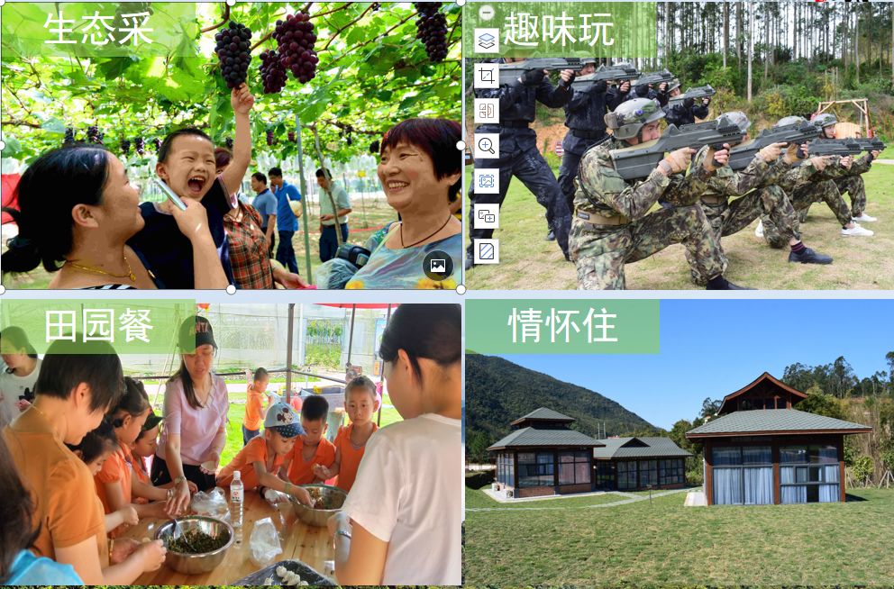 走进南山谷和开心农场,你能看到大棚内采用天然有机方式种植的葡萄