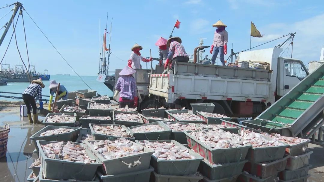 出海归来一起来东山岛吃海鲜吧