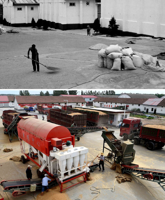 大国粮仓的新时代交响—河南农业70年观察
