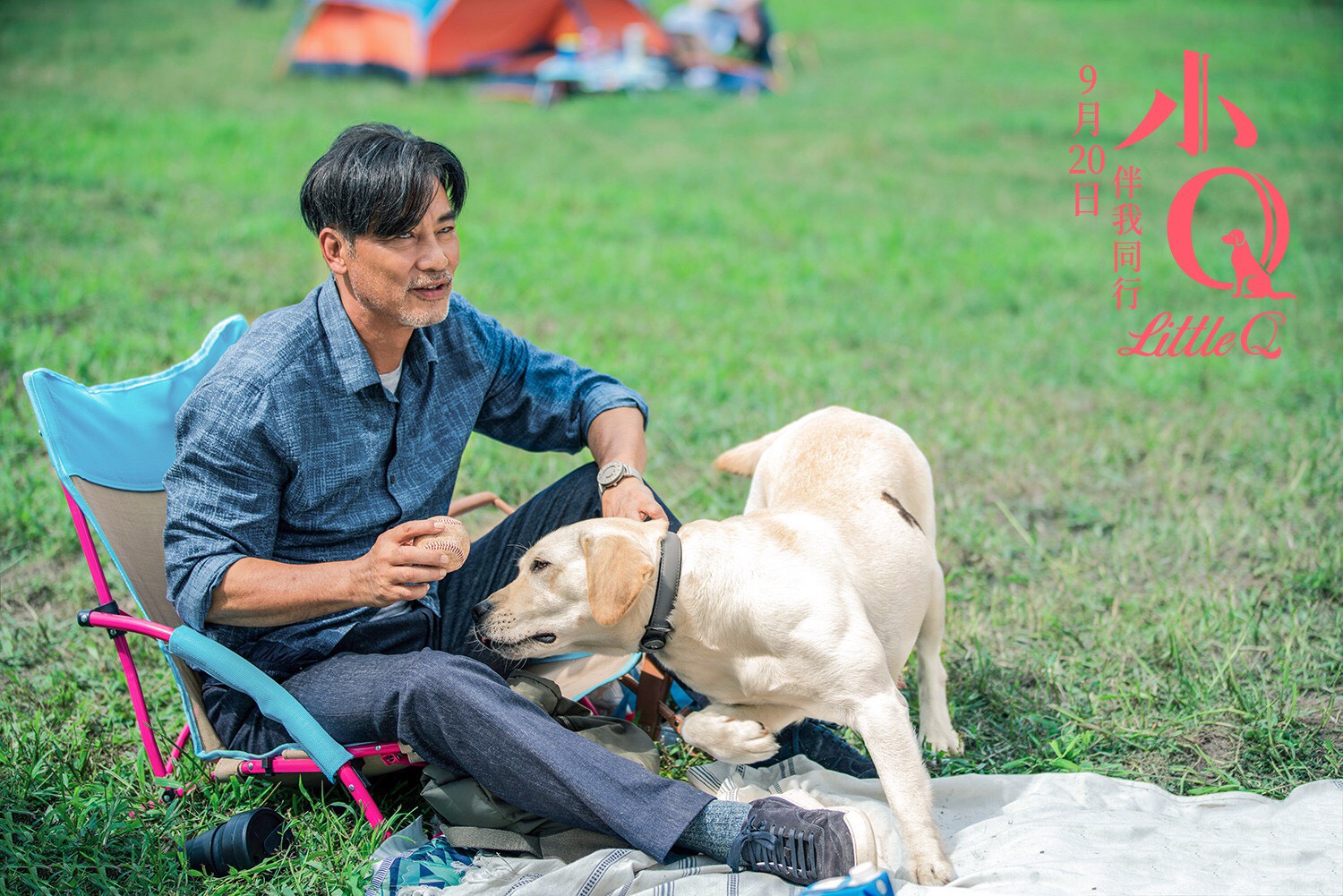 电影《小q:导盲犬教我们人类如何去爱