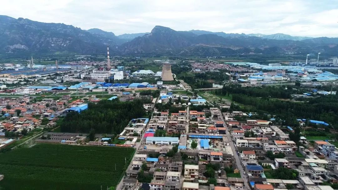 西向镇注重党建统领经济强镇锦上添花