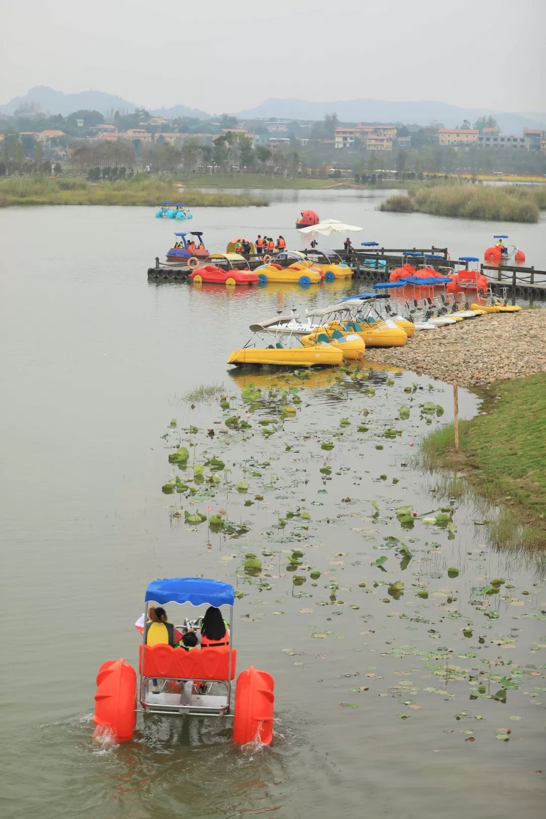 10月3日,打卡高坪凤仪湾湿地公园,原来有这些好耍的