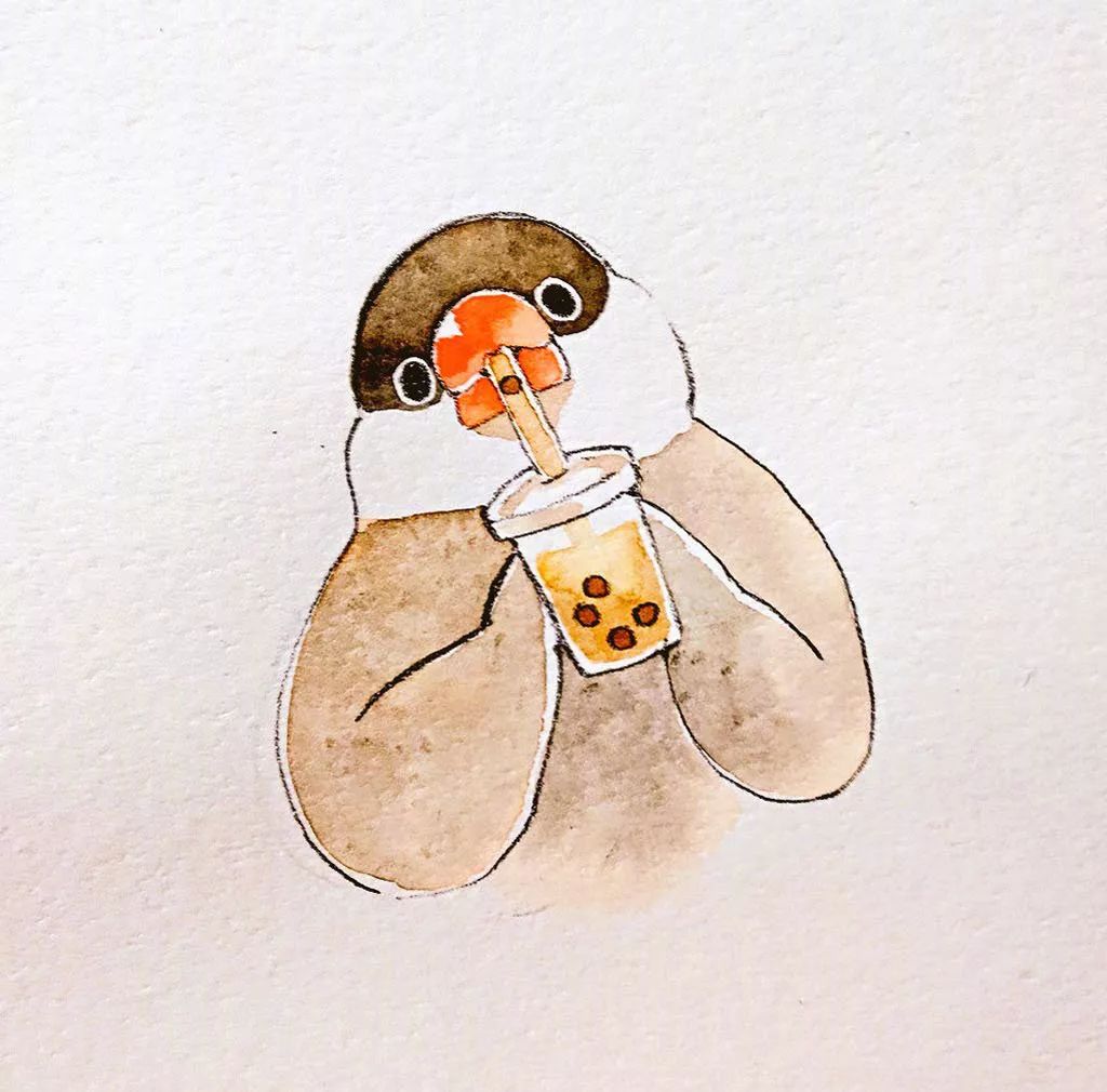 插画皮皮又可爱的文鸟