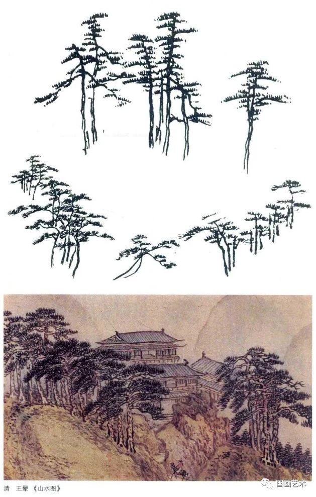 山水画基础——松树的画法解析