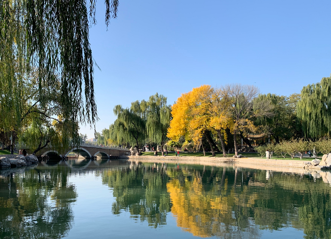 深秋的北京处处是美景,逛北京龙潭公园