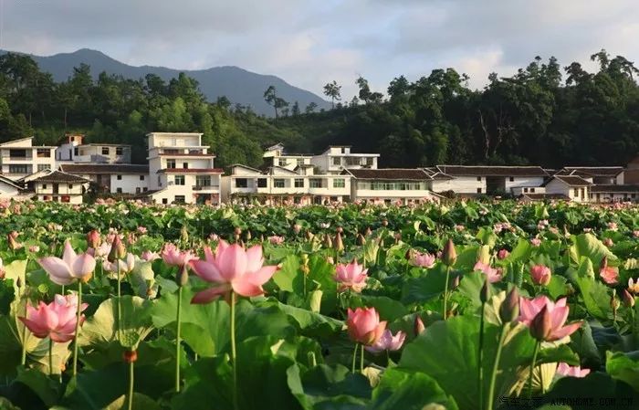 广昌县驿前镇姚西村(网络图)