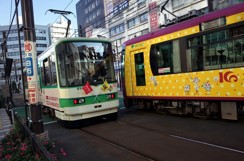 这趟电车途经新宿和池袋,恰巧这是东京最热闹的两个地方,所以是整条