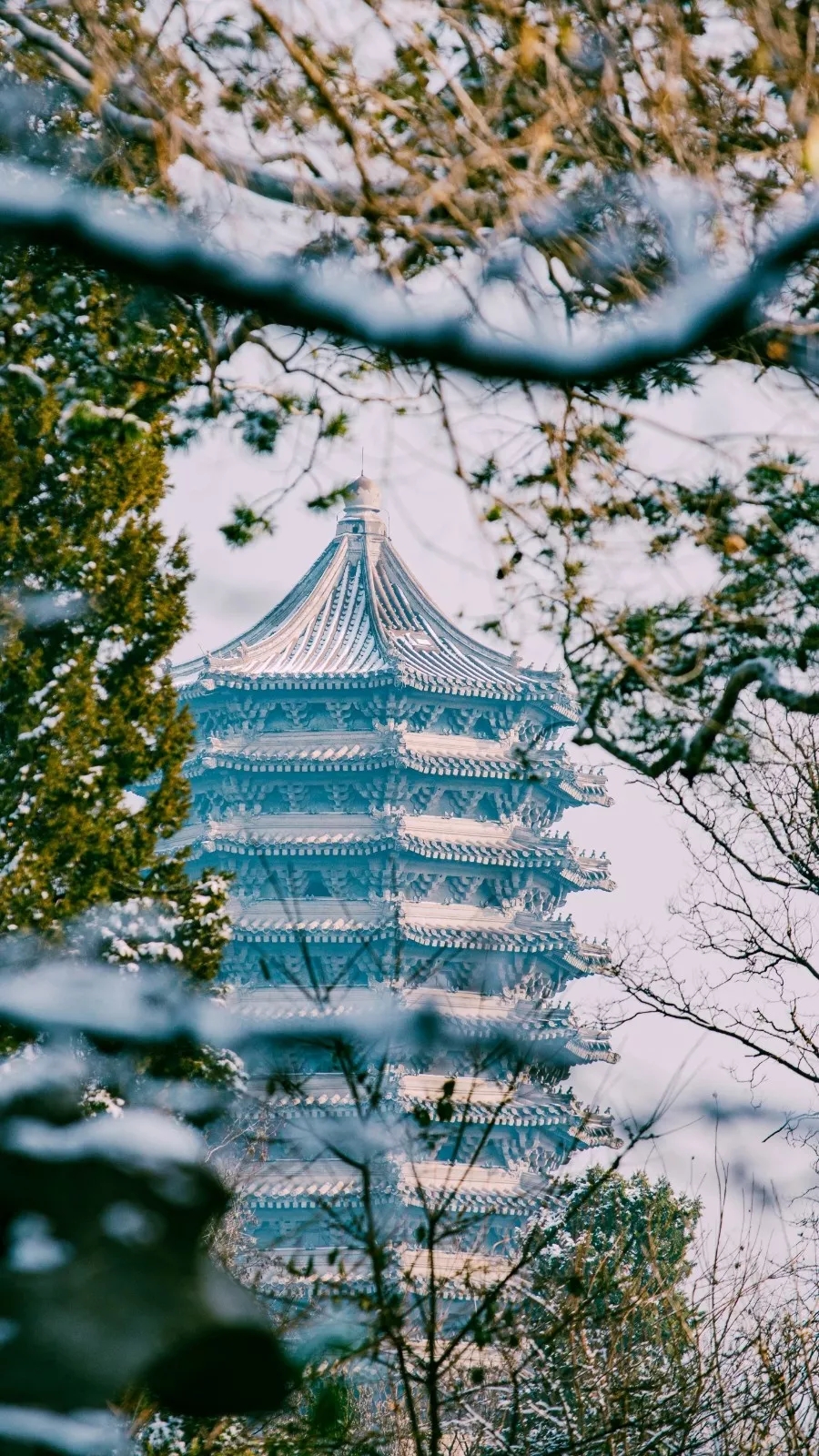 北京大学美丽雪景