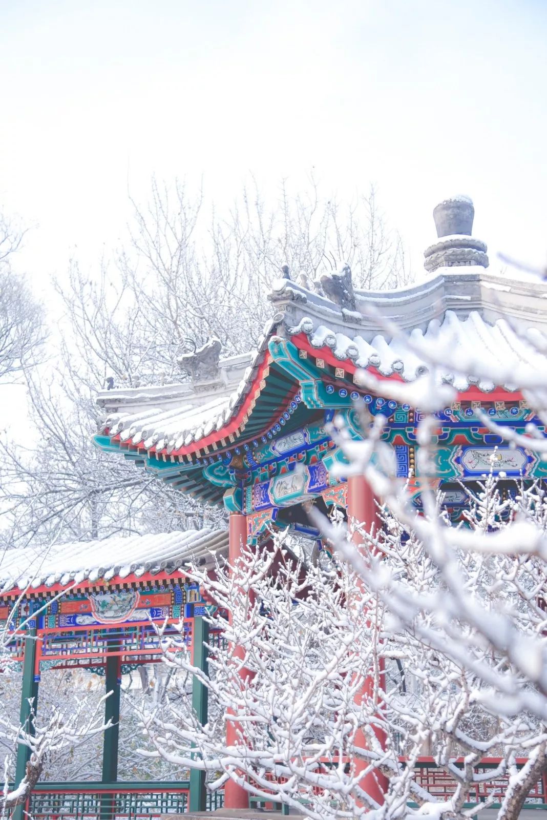 北京大学美丽雪景