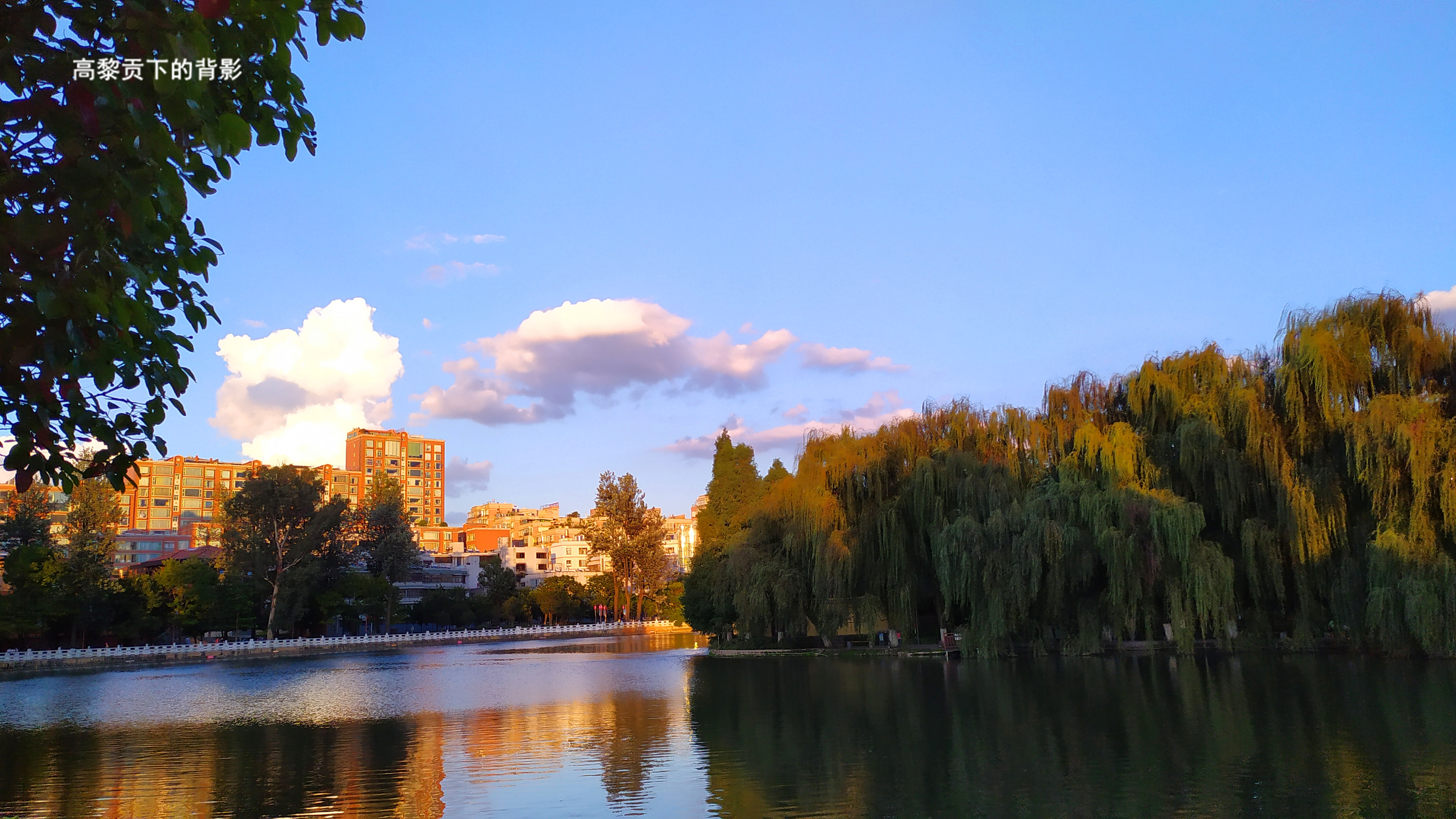 云南昆明翠湖公园随拍,蓝天白云下的美丽景色,置身其中如画中游