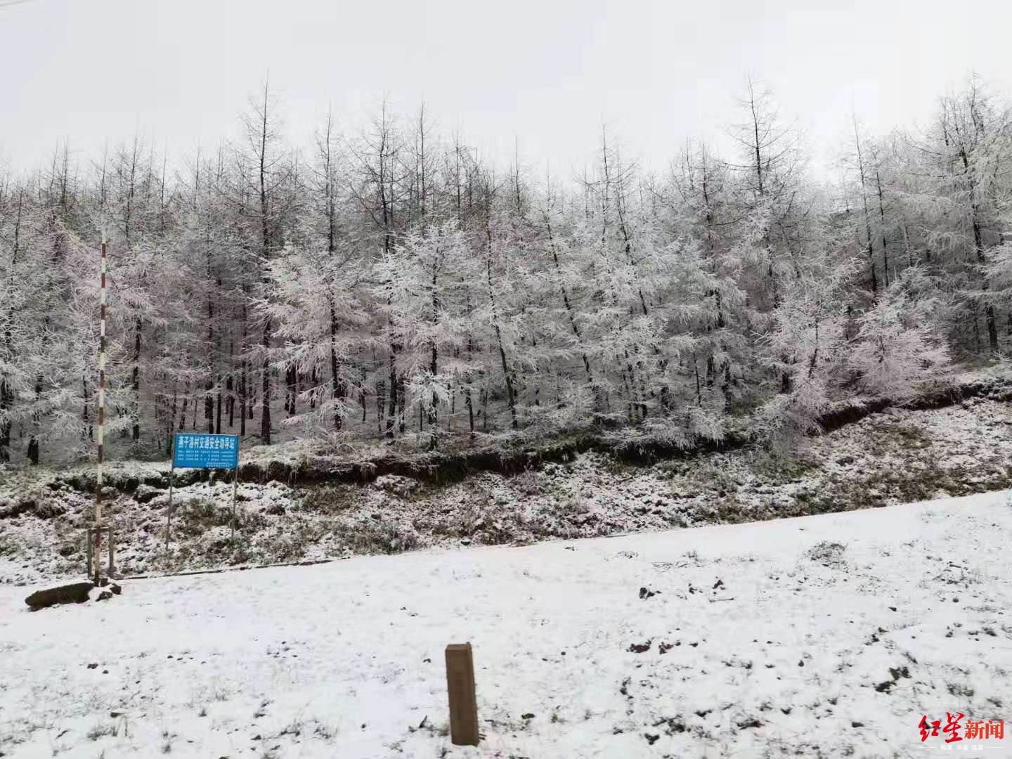 国道245线昭觉解放沟大雪货车管制,其他车辆可挂防滑链通过