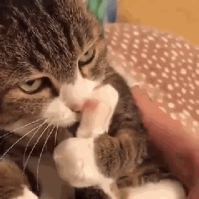 吸出了六亲不认的眼神