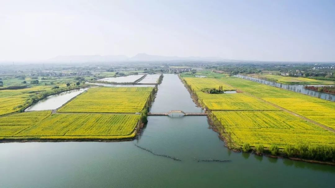2019溧阳别桥原乡1号公路半程马拉松圆满落幕