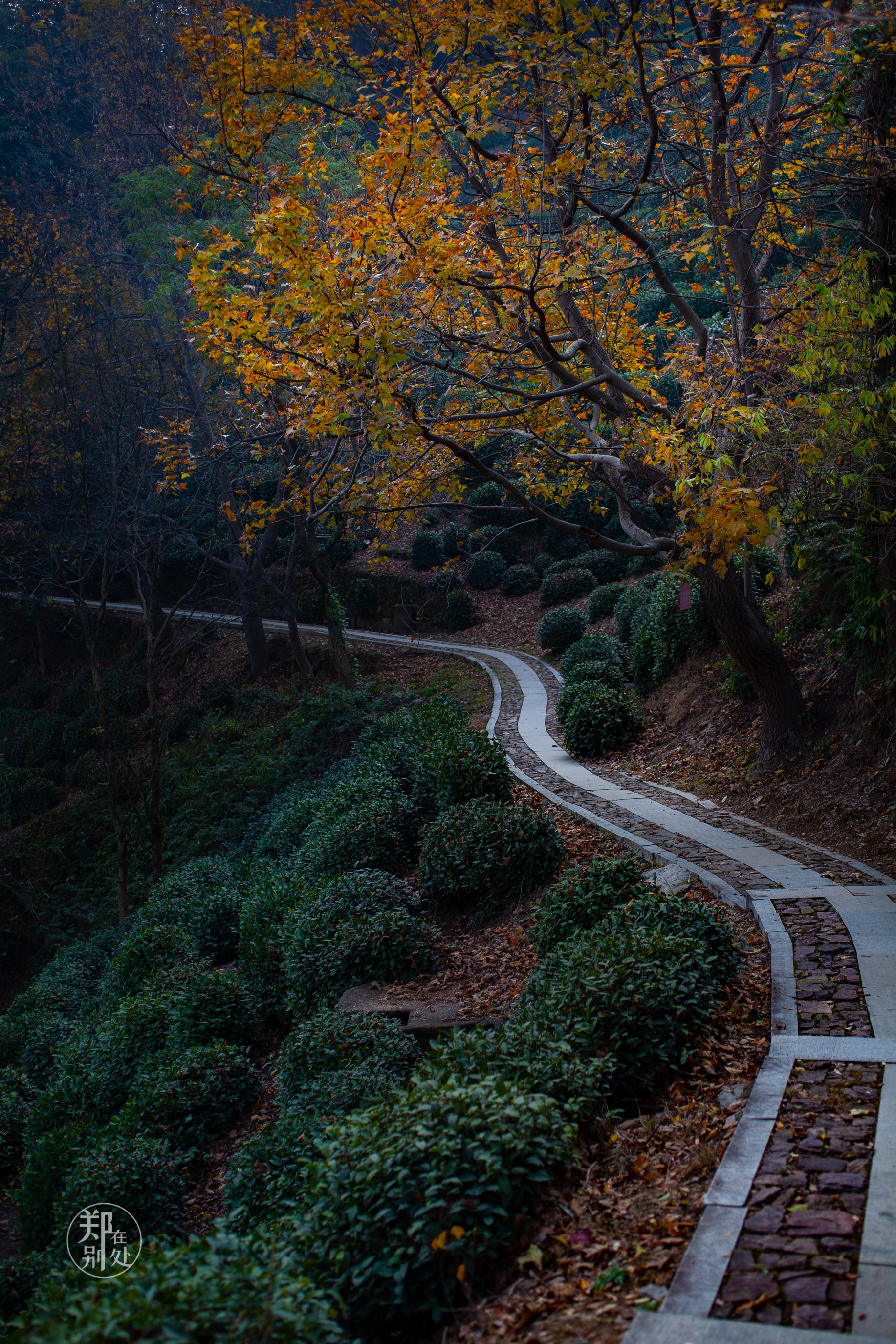 杭州登山路线15:十里琅珰到底怎么走?超详细的图文