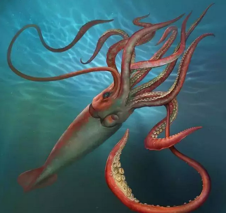 长达数米的巨型章鱼海怪并非传说,只有20米的抹香鲸才能与之匹敌