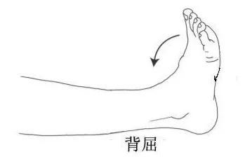 正常人的足背屈角度应为25℃~30℃,所以在我们做一些需要足背屈的