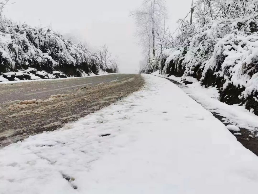 贵州这些地方昨天都下雪了,贵阳的雪