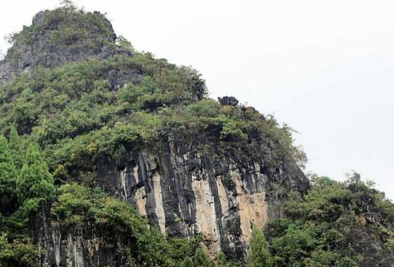 荔波县旅游景点——龟背山原始森林,拍照根本停不下来