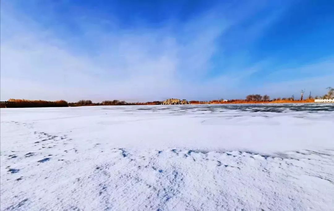 「原创」阿右旗第二轮降雪来袭,这些雪景请查收!