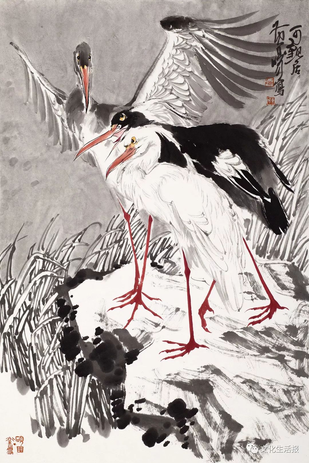 2020福州画院首秀看这里22位画家展清怡颜值