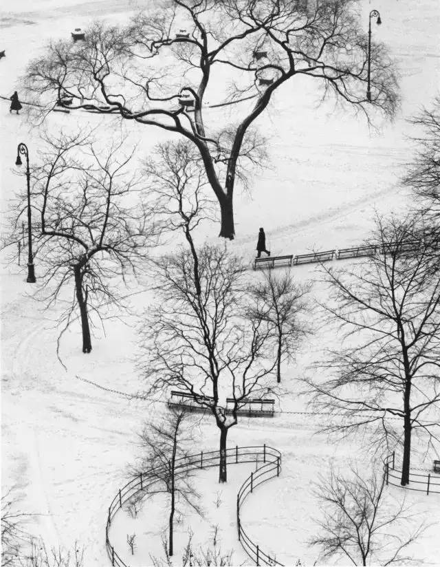 这样的雪景照片才耐看,从摄影大师经典作品中寻找灵感