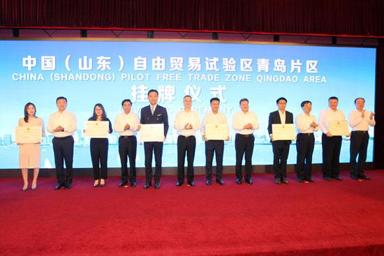 释放改革红利!山东自贸区青岛片区新增市场主体1851家