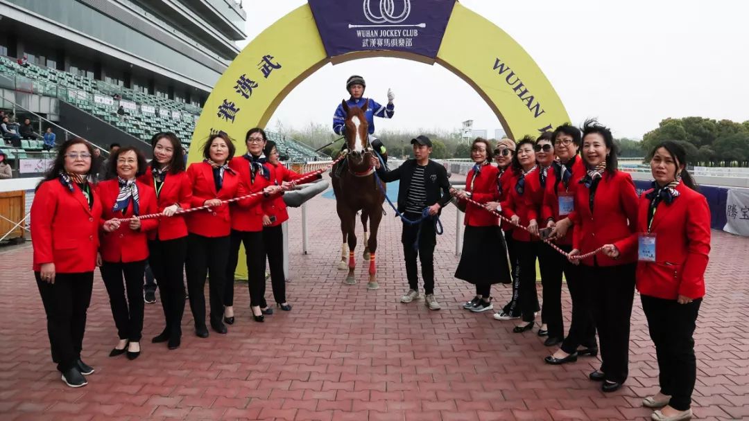 海南马世界 绝地 入选推介 2019中国·武汉速度赛马公开赛年度马王