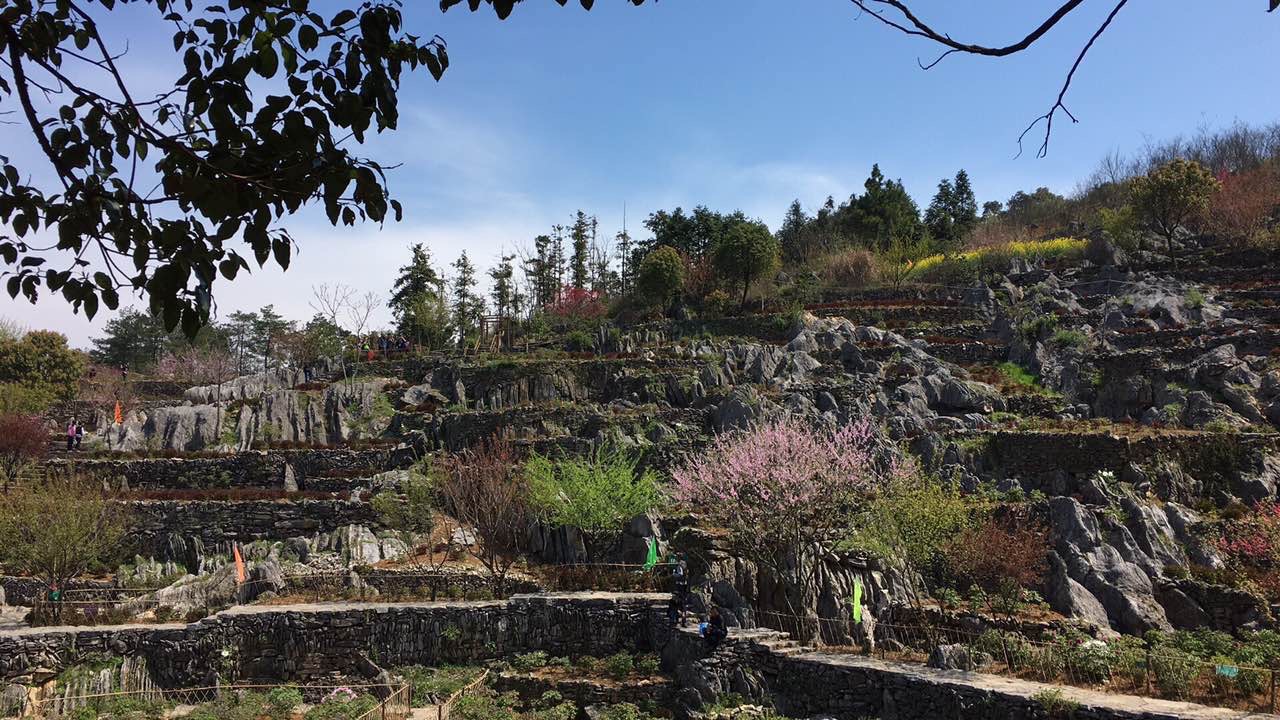 周末去哪里玩,安徽芜湖市一日游,大家都去过哪些景区