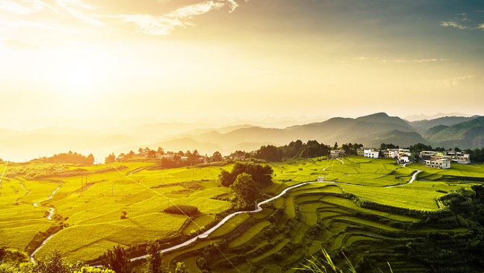 赵德明:乡村振兴要留住"根"留住"魂"留住"形"留住"人"