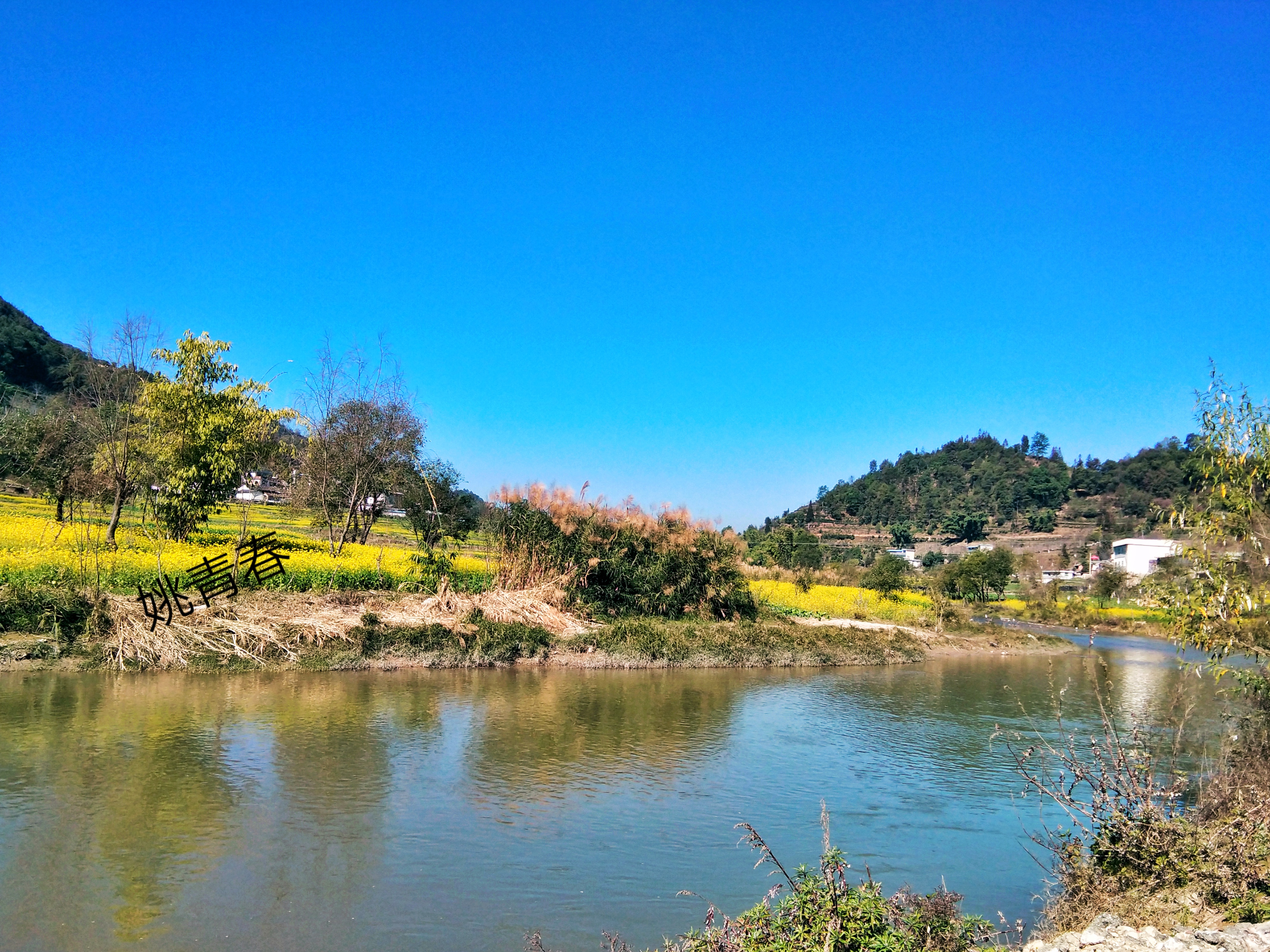 姚青春2020云南老家旅游攻略自然山水风景