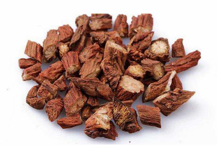 参丹 rmh.pdnews.cn