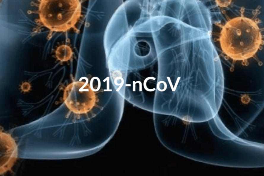 1月12日,世界卫生组织将新型冠状病毒暂时命名为"2019-ncov".