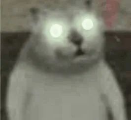 魔性洗脑又上头.斗图?我沙雕猫表情包从来没输过!