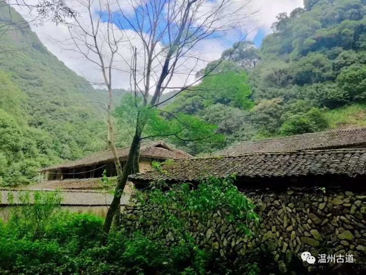 山前山后石为邻,溪来溪去水作伴-温州永嘉岩头石匣村界岩自然村
