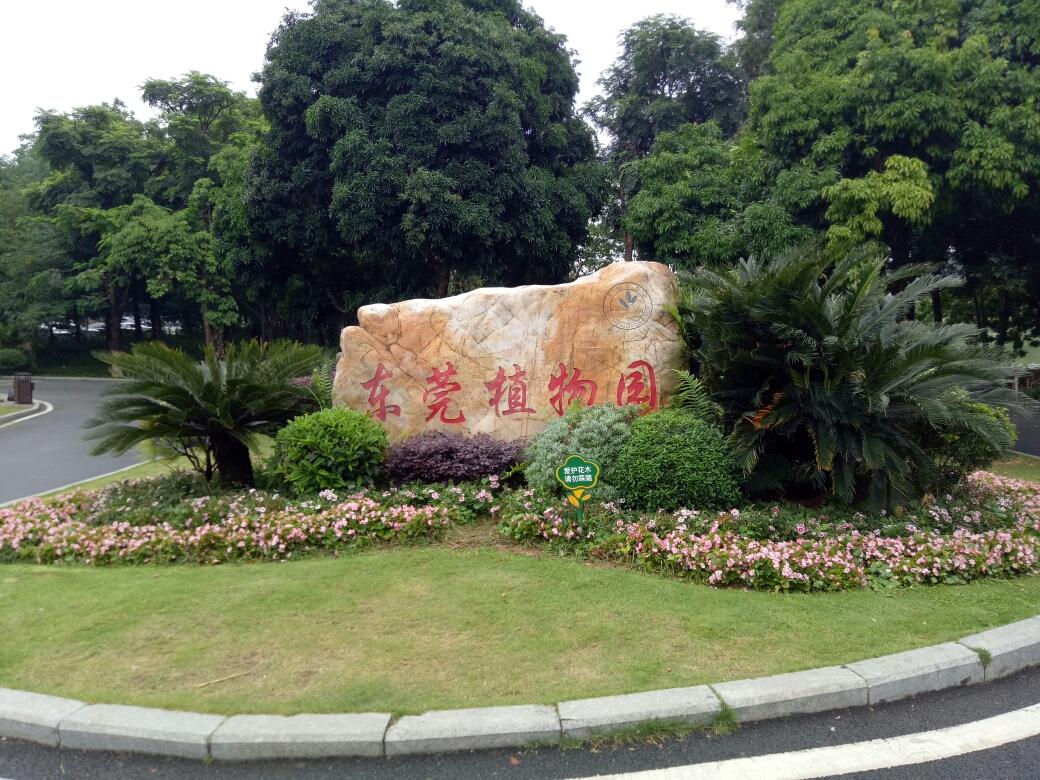 周末去哪玩,广东东莞市一日游,你们都喜欢哪些景点
