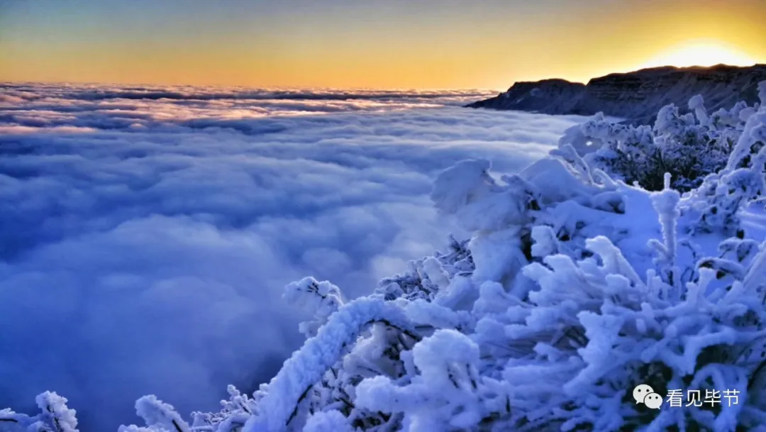 赫章韭菜坪雪景(郭光荣 唐兴尧 供图)