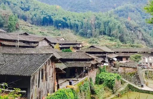 探村温州永嘉|茶园坑村,溪流与山谷深处的静美古朴地