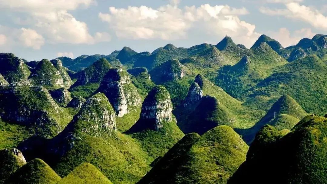 万峰林景区由近两万座奇峰翠峦组成,峰林密集奇特,气势宏大壮阔,造型