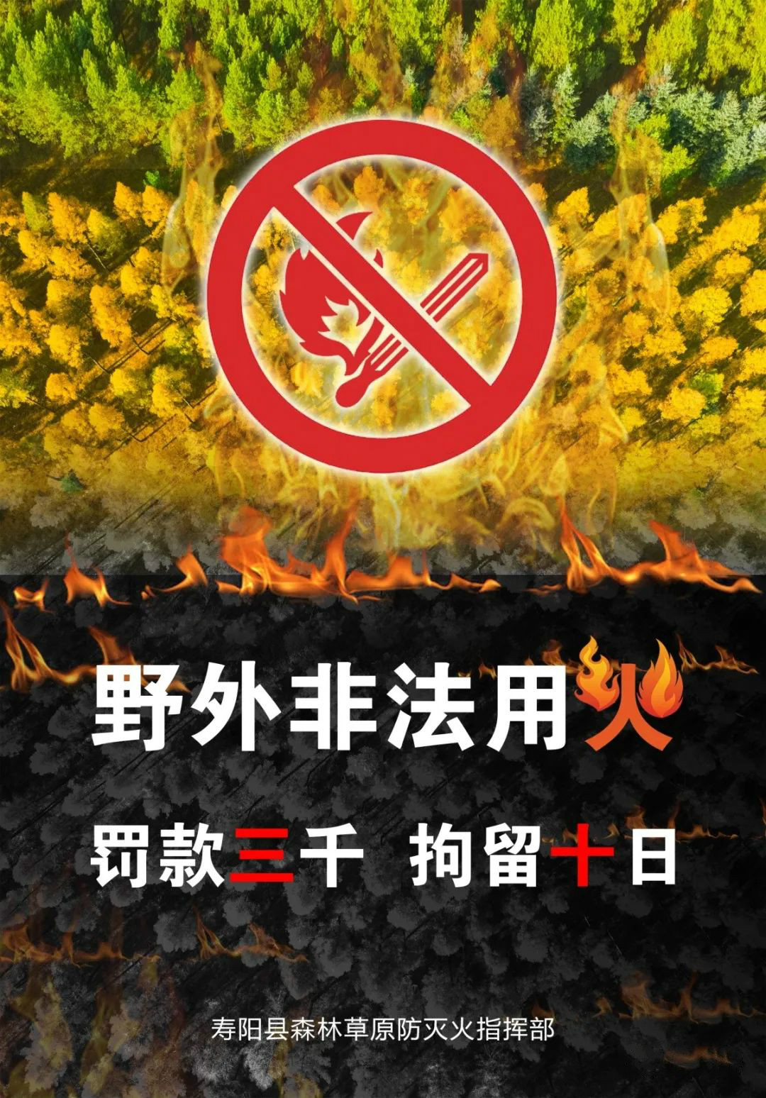 护林防火:严禁一切野外用火!肇事必究!