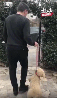 3月16日下午, 只见他鬼鬼祟祟, 警察蜀黍走近一看, 果不其然,该男子