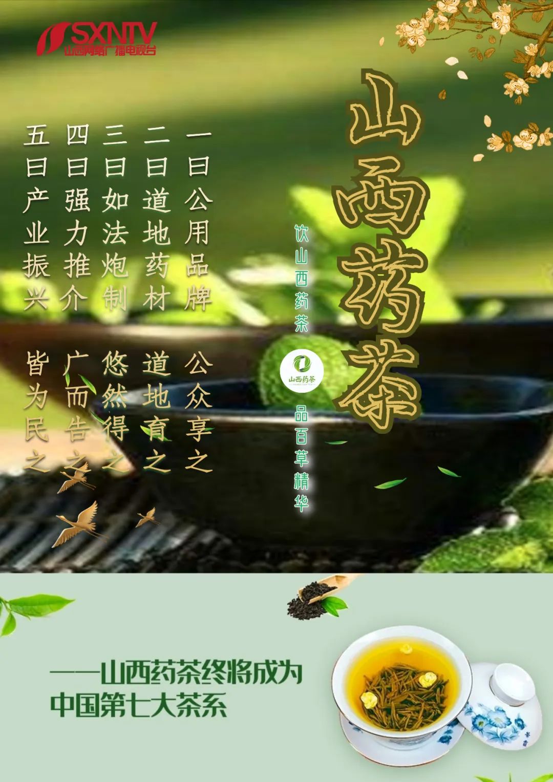 山西药茶靠什么成为中国第七大茶系