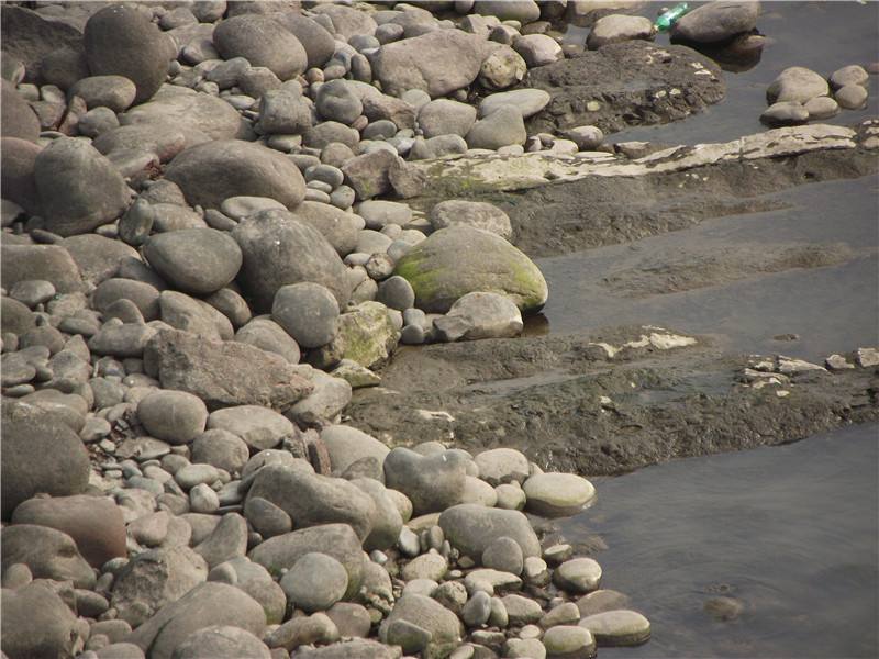 河滩上这些白色的石头究竟是什么石头有没有可能是玉石呢