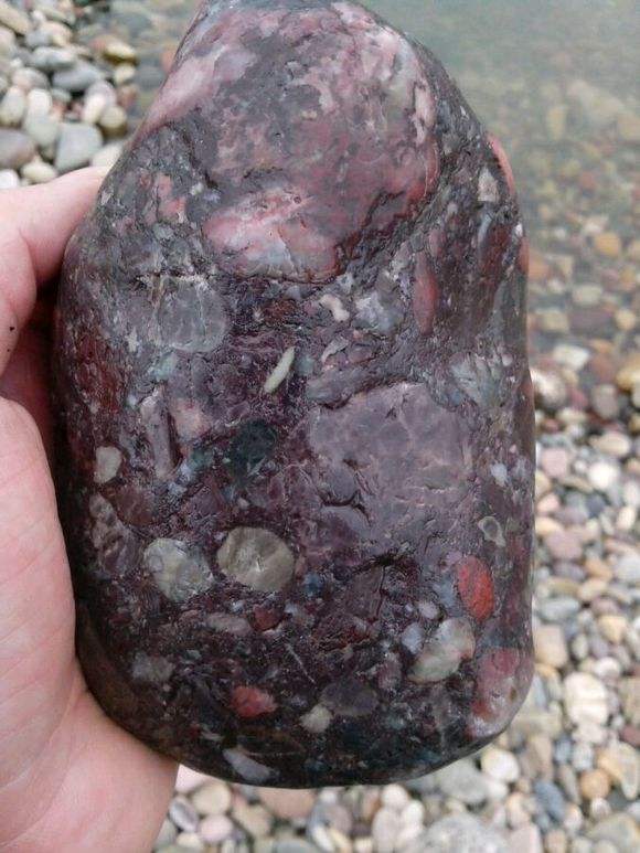 河滩上这些白色的石头究竟是什么石头?有没有可能是玉石呢?