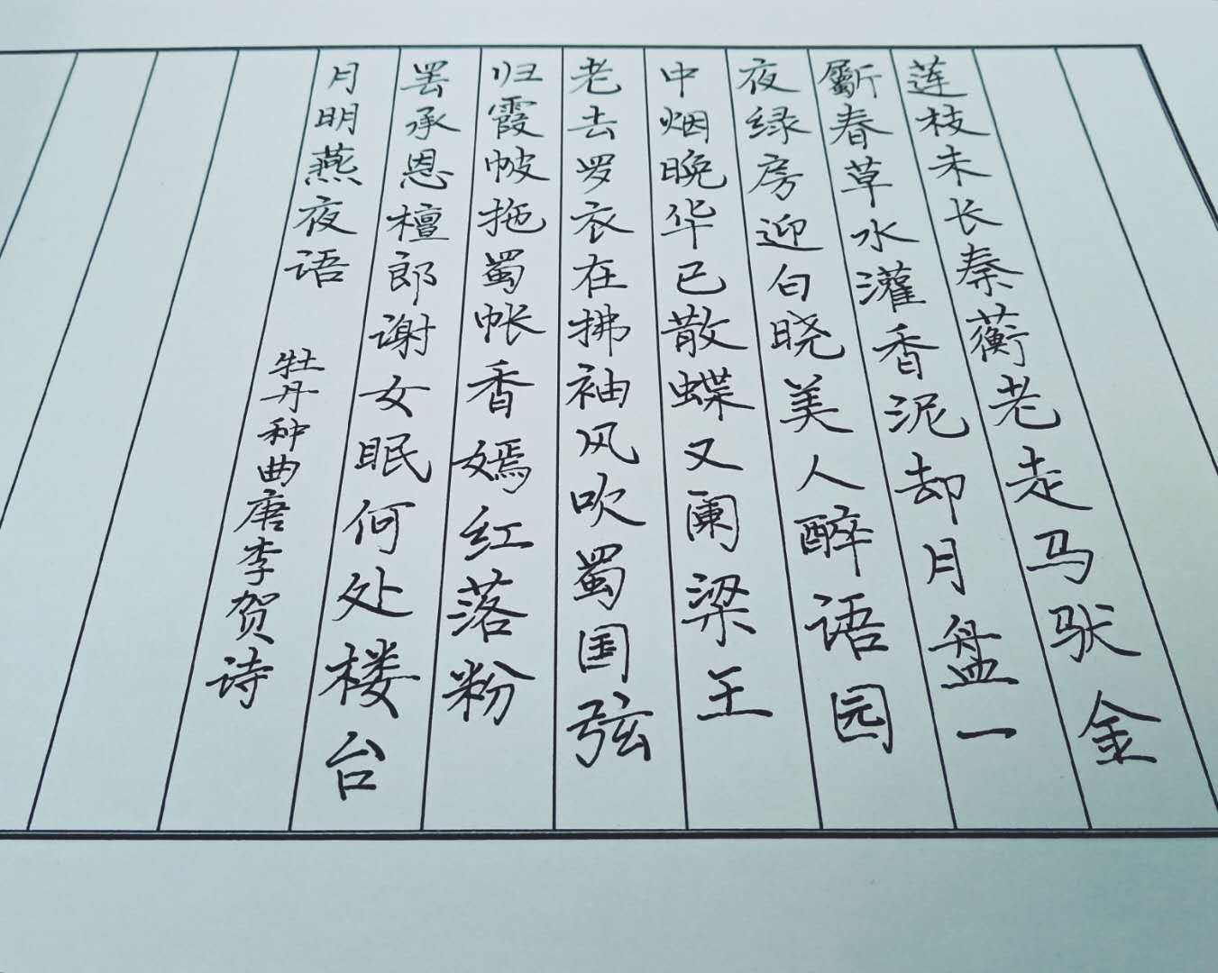 唯有牡丹真国色花开时节动京城行楷书法多首牡丹组诗