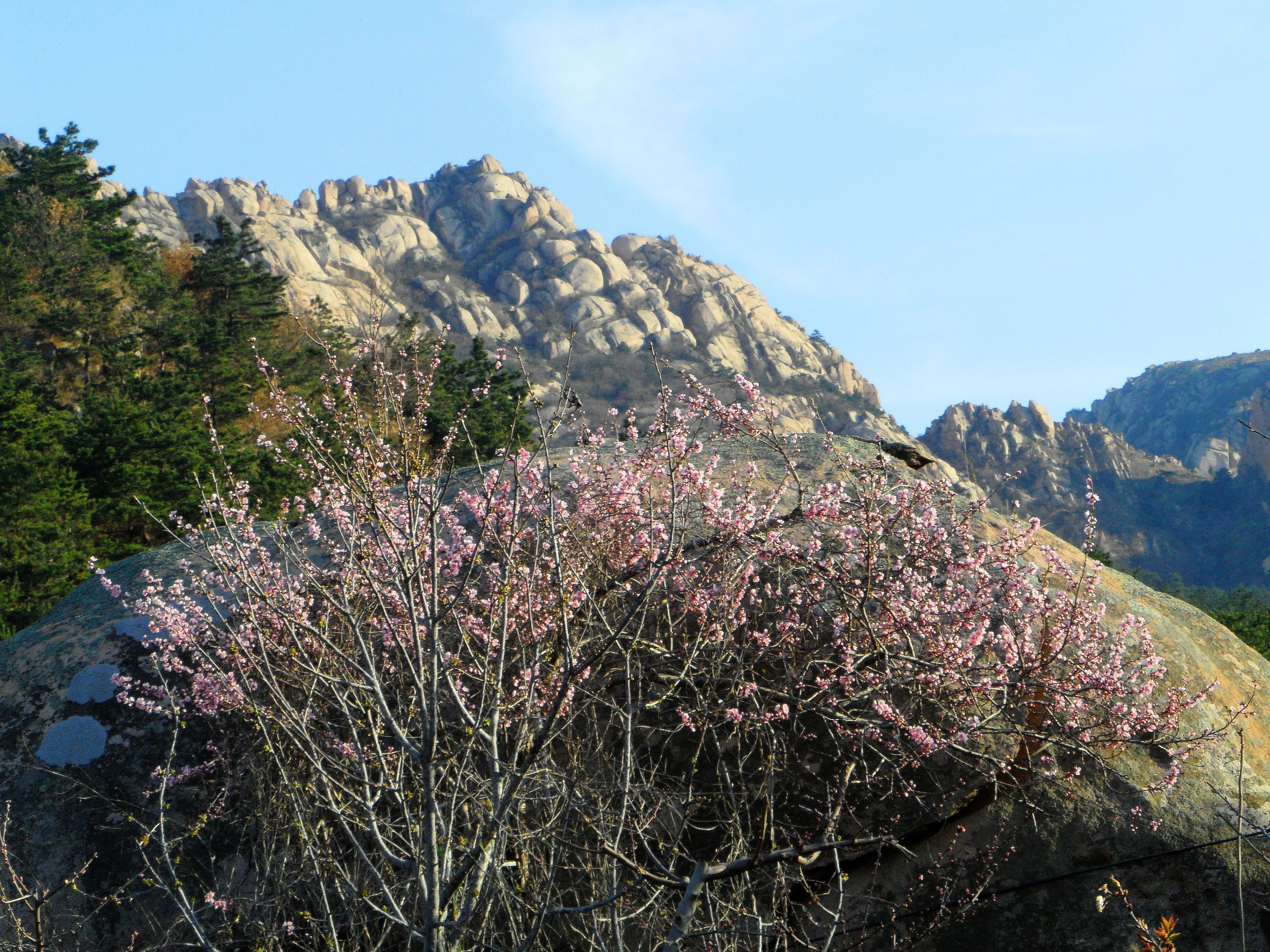 乳山市玉皇山后村位于岠嵎山风景区