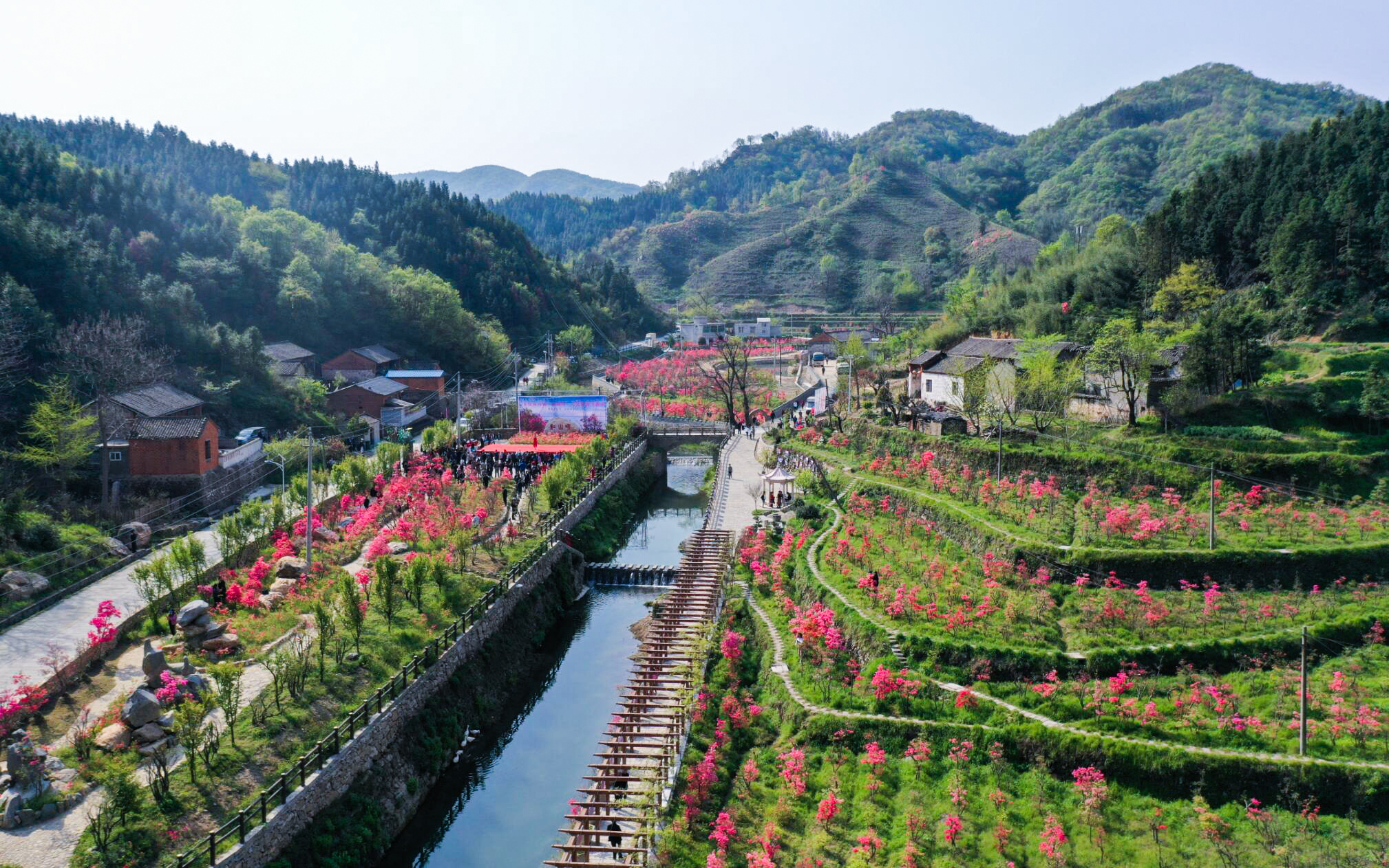 新县卡房乡首届杜鹃红文化旅游季启动含视频