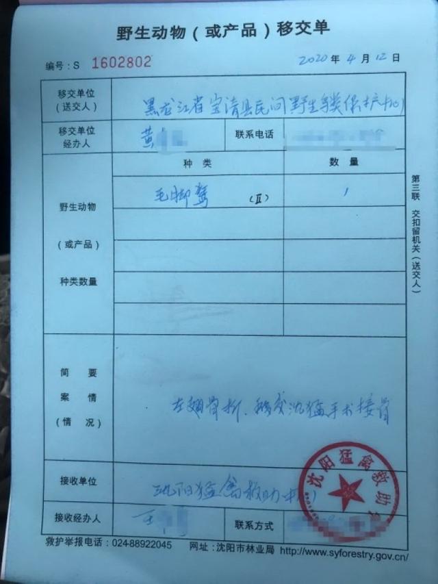 图为野生动物移交手续.