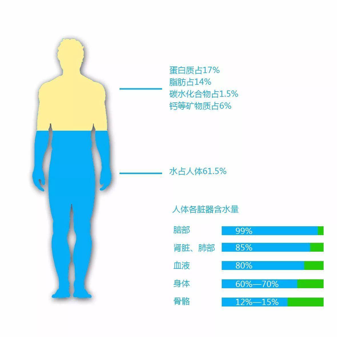 细胞活动离不开水,而且水也是构成我们身体的重要成分,水占人体总成分