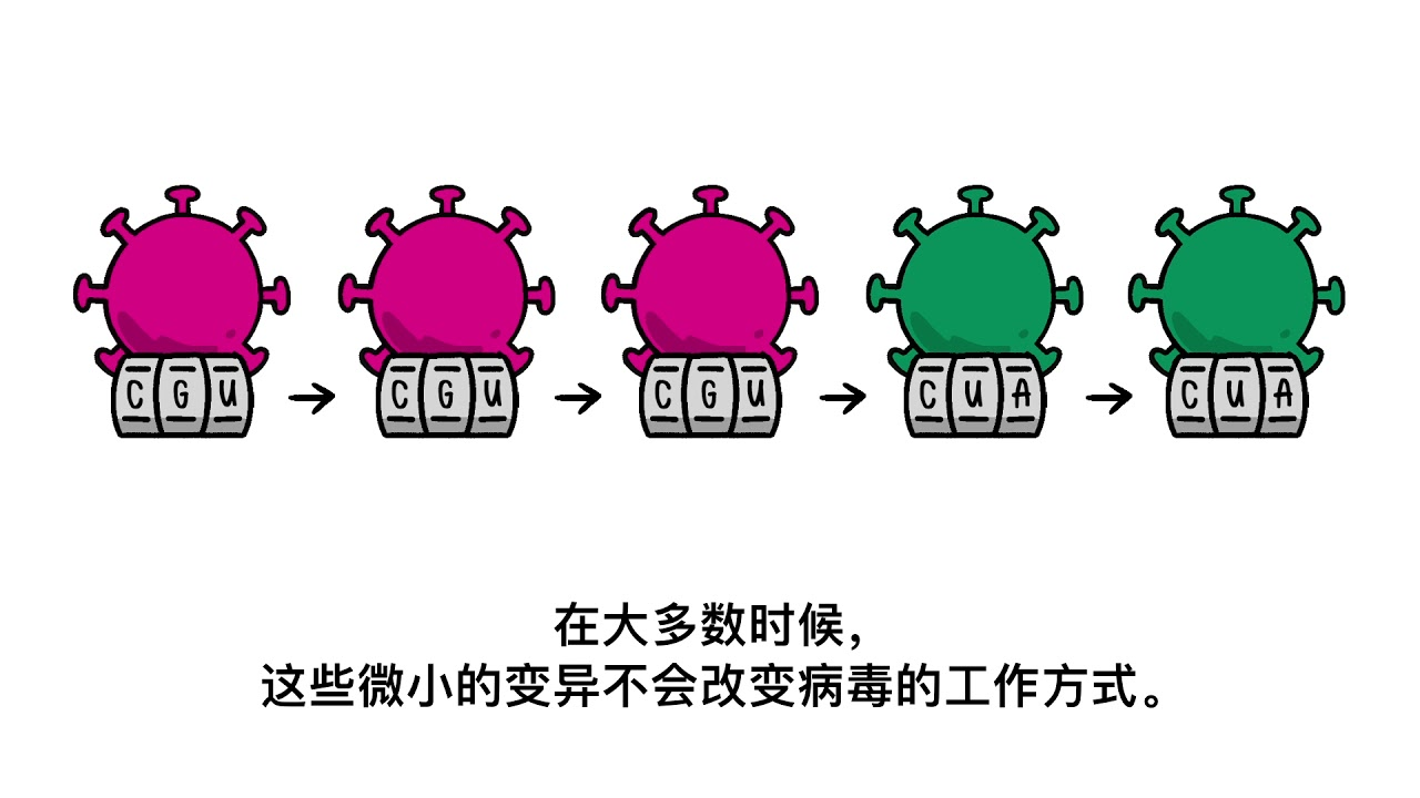 但当关键基因上发生变异,就可能会改变病毒的工作方式.